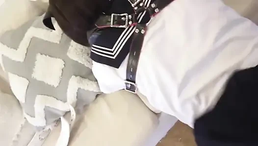 Dressed in Jk Clothes Is Restrained and Whipped