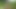 Horny Latina Deepthroats in Park Grass and Gets Her Pussy Hardcore Hammered!
