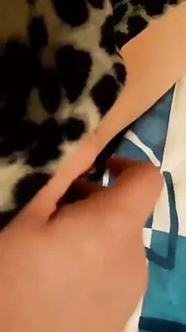 Britt 6