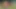 Fussballtrainer nimmt Asiatische Spielerinnen hart ran