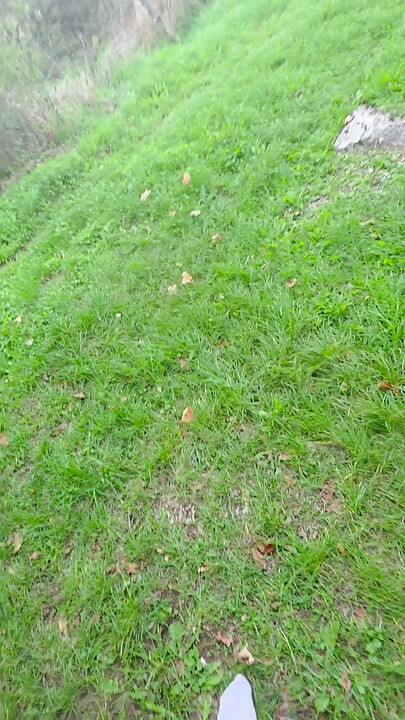 Anal dildo getting caught naked in the woods