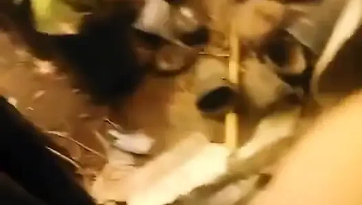 Compilation - Part 14