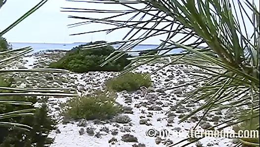 MILF Telanjang Seksi Di Pantai Nudist