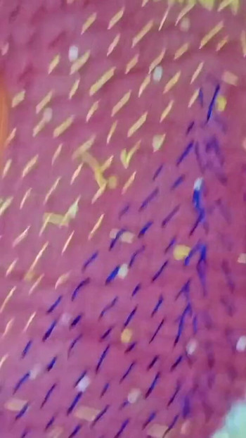 Memorable moment from "Hot girlfriend hot fuck ,tight pussy fuck"