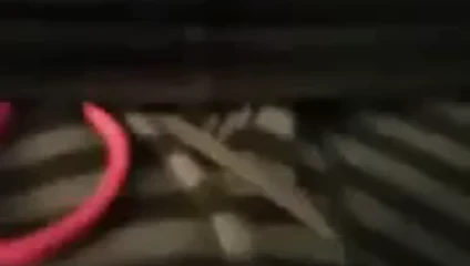bu çük dayak
