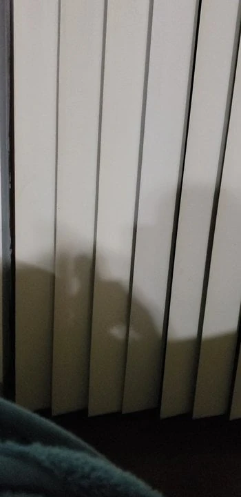 Shadow strokin