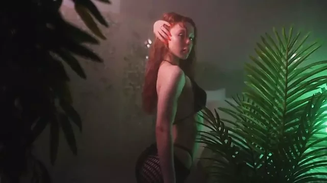 Meow_Nancy video