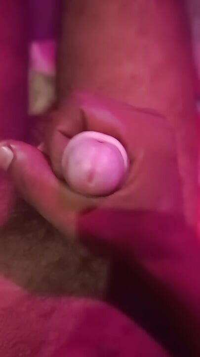 Pink Loda Desi Lund