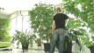 Pratinjau video