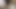 Solo Trans Man Ftm Cums hard throbbing orgasm Big Clit Tiny dick