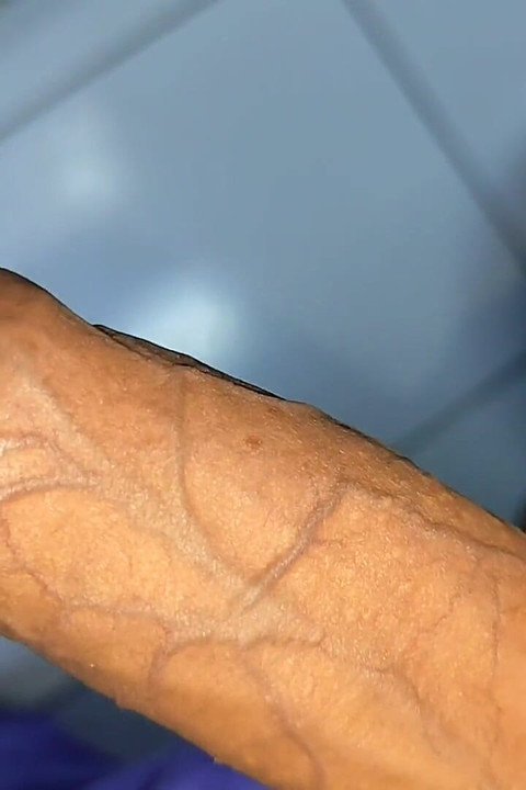 大きなペニスポンピングツリーコック静脈