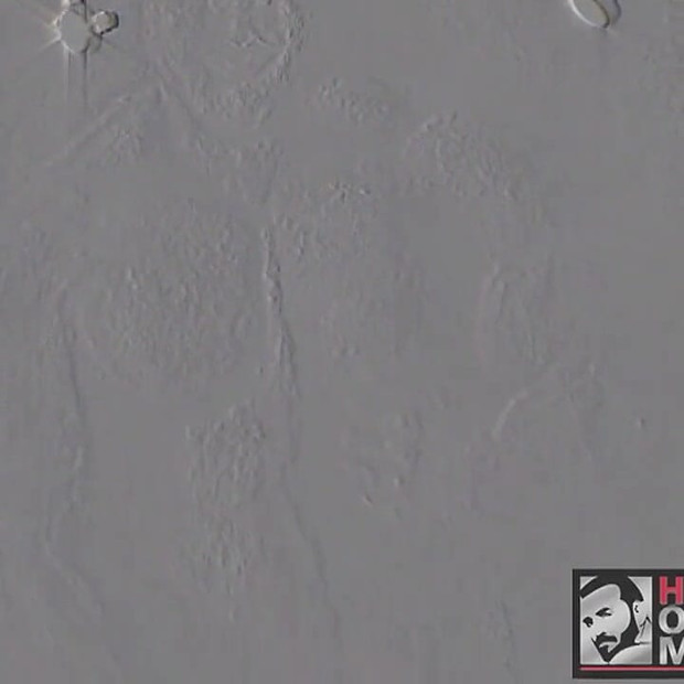 ラフ&レディ・マッスルメン