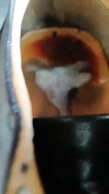 cum in work shoes