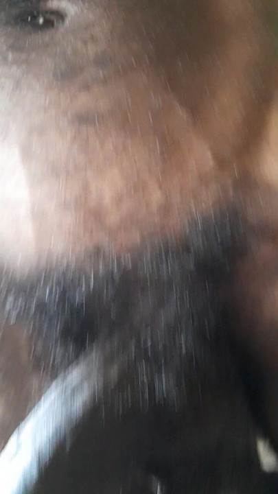 Did you saw the crumbs on my body ? Clean me this !