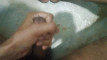 Pregled videozapisa