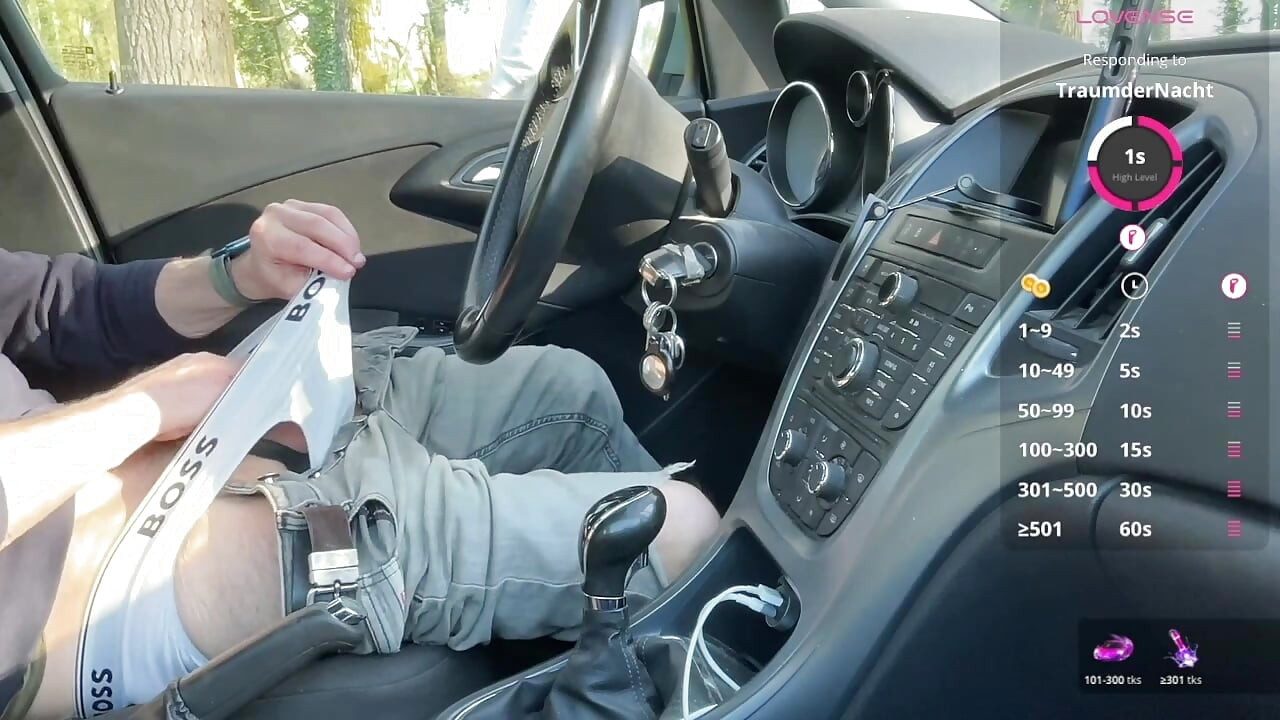 森の休憩所に車を停めていたら、彼に気づかれた
