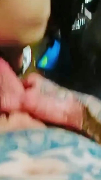 Pregled videozapisa