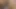 dirty talk balls deep (BBC fantasy cum true inside you) Let me please you