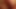 exposing my cock