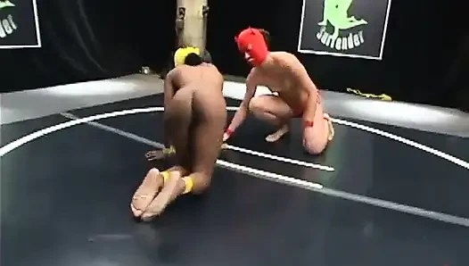 Yellow Kitty and Crimson Ninja