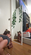 Pregled videozapisa
