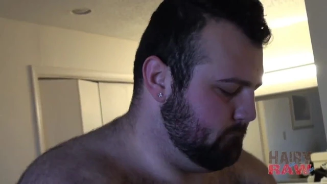 hairy bears