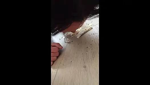 Balgemädchen haben spaß mit ihrer sklavin