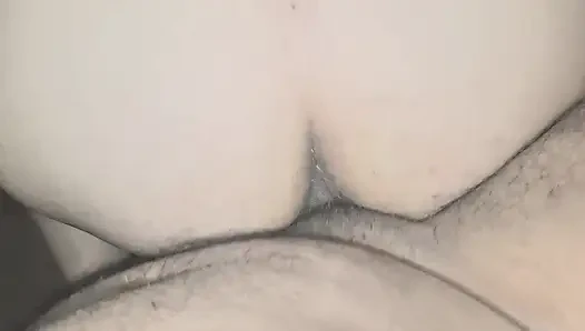 of a puppy