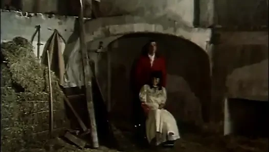 Beautiful blonde cock sucking pussy fucking in the castle