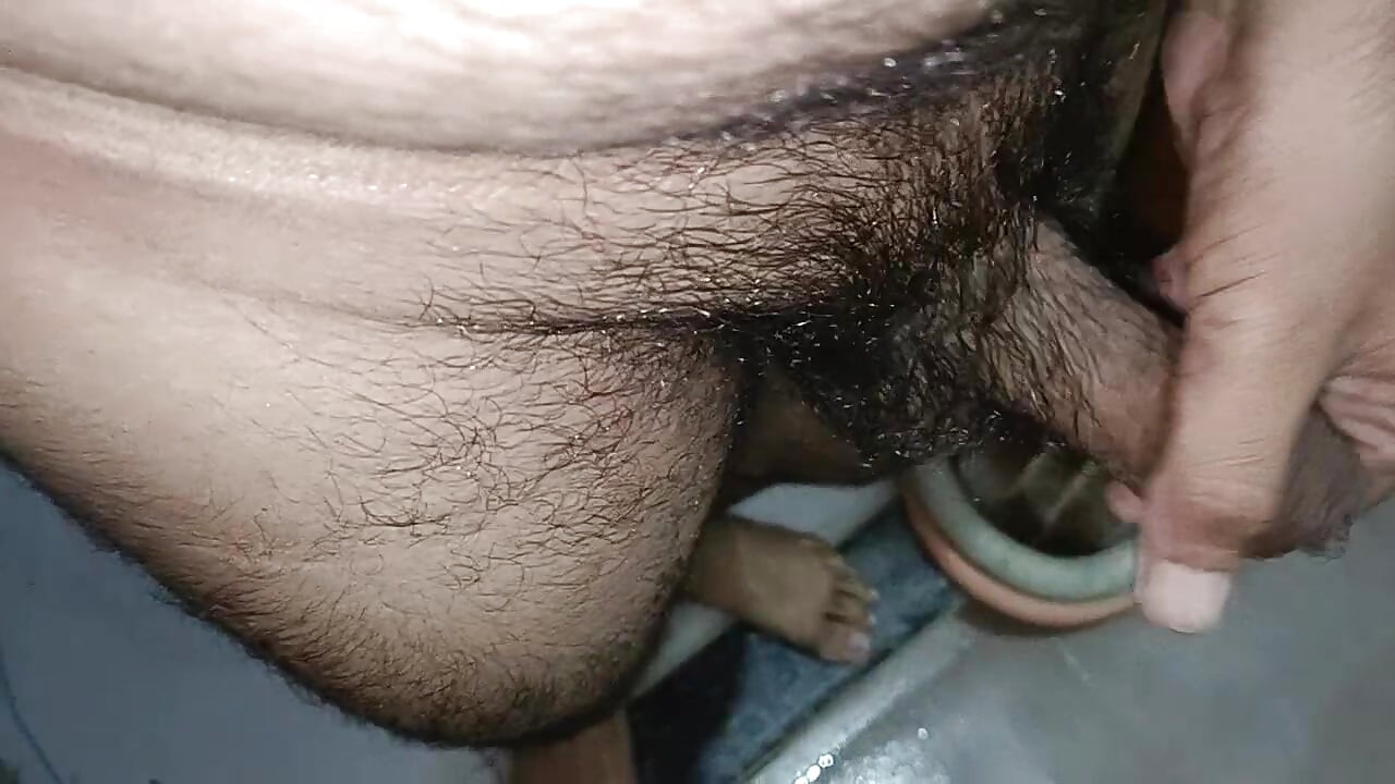 Sexy panis