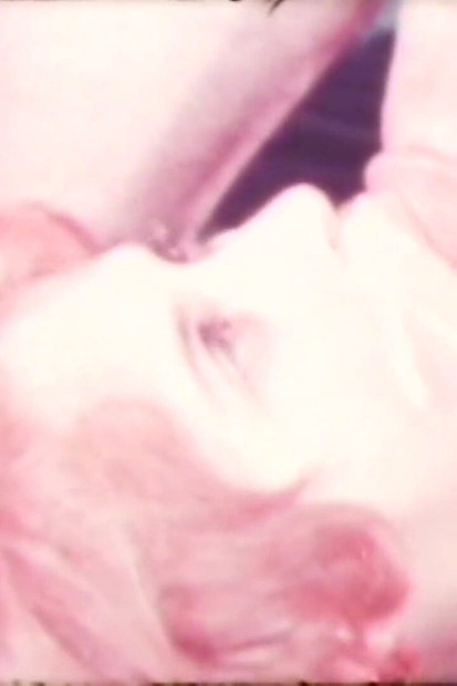 الهرة المرغوبة