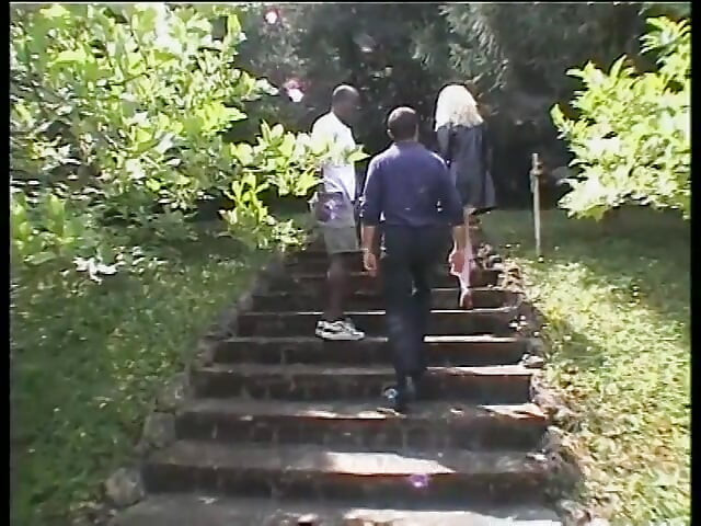 دروس باللون الأسود - دي في دي