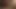 Gay Porn ( New Venyveras 5 )