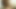 Dlakava japanska MILF uživa u vrućem tuširanju i intimnom trenutku sa svojim muškarcem