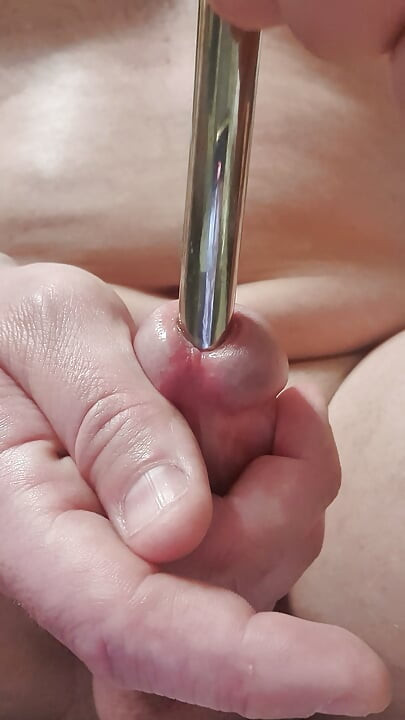 Tail ecstasy and double pee hole stretching