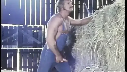 Hay Ride