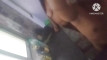 Pregled videozapisa
