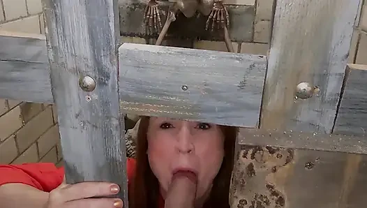 Sucking off the Prison Guard