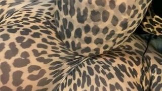 Revestimiento de pantimedias de leopardo