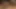 Intense Blowjob and Cumshot #5