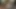 Wife Sex Videos