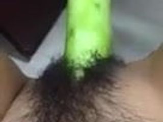 Hairy cucumber