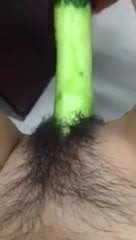 Hairy cucumber