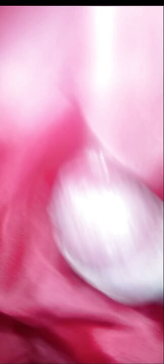 4 sprut på det söta fodret på en röd dampufferrock