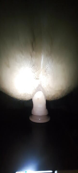 我车库里的寒冷夜晚