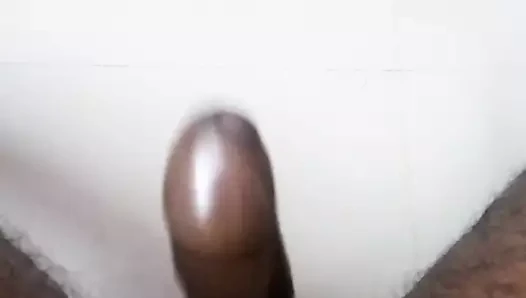 Hintli yarak