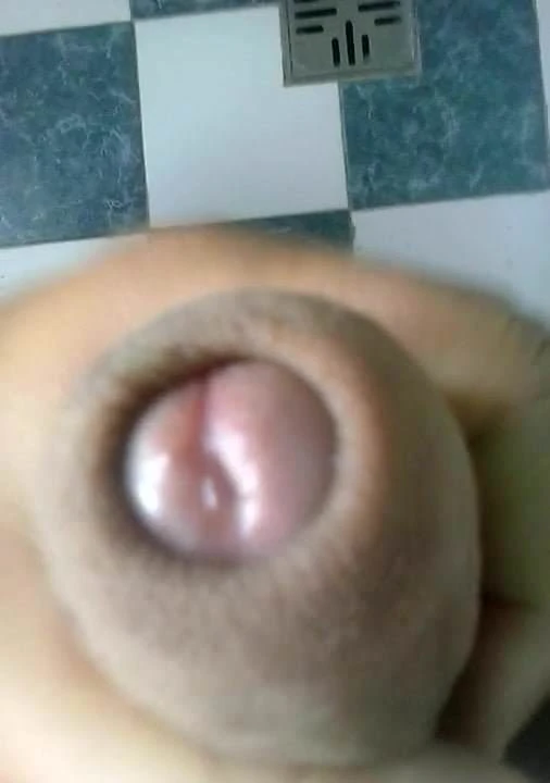 Humedo