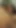 Stunning moment from "Busty teen gets her pussy fucked by grandpa, perfect big tits"