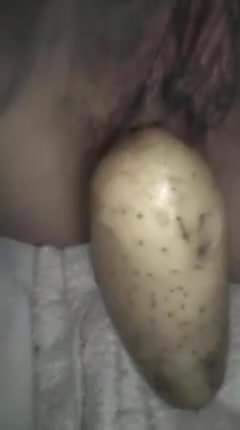 Patata