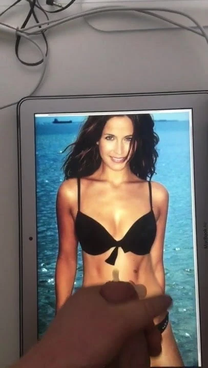 Ibi Stoevring Cumtribute